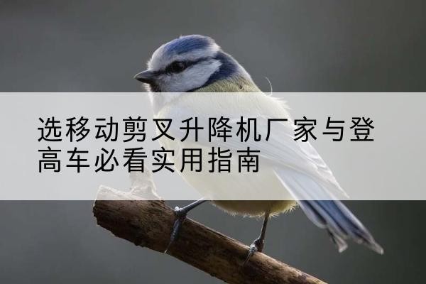北流电动升降机厂家-选移动剪叉升降机厂家与登高车必看实用指南