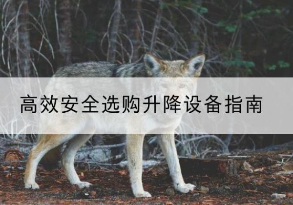 北流升降货梯厂家推荐-*安全选购升降设备指南